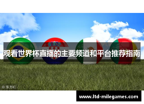 观看世界杯直播的主要频道和平台推荐指南